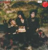 CocoRosie Adventures Of Ghosthorse And Stillborn
