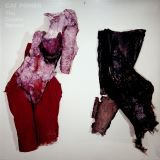 Cat Power Covers Record