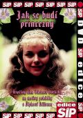 Postrneck Vclav Jak se bud princezny - DVD