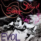 Sonic Youth Evol
