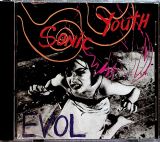 Sonic Youth Evol