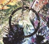 Leaf Channel The Spirits (LP+CD)