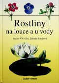 Vtvika Vclav Rostliny na louce a u vody