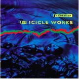 Icicle Works Best Of