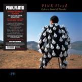 Pink Floyd Delicate Sound Of Thunder (Gatefold 2LP)