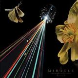 Miracle Strife Of Love In A Dream
