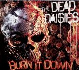 SPV Burn It Down (Digipack)