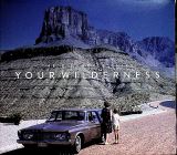 Pineapple Thief Your Wilderness -Digi-