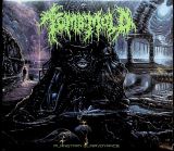 Afm Planetary Clairvoyance