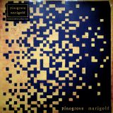 Rough Trade Marigold (Coloured)