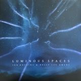 Hopkins Jon Luminous Spaces / Luminous Beings