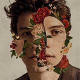 UNIVERSAL MUSIC Shawn Mendes