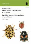 Academia Brouci čeledi slunéčkovití