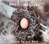 Soul Asylum Hurry Up And Wait