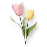 SIZZIX SIZZIX Thinlits vyřezávací kovové šablony - Tulipán 8 ks