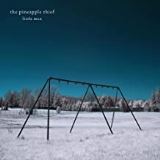 Pineapple Thief Little Man Ltd.