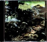 Afm Odious Descent Into Decay