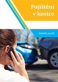 Lukášová Věra Pojištění v kostce