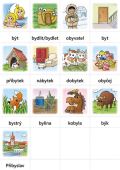 NNS Hry s vyjmenovanými slovy (SOUBOR KARET pro výuku českého jazyka ve 3. ročníku)