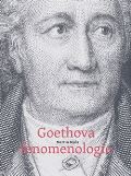 Togga Goethova fenomenologie