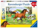 Ravensburger Puzzle Svt kon/2x24 dlk