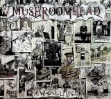 Mushroomhead A Wonderful Life (Digipack)