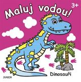 Junior Dinosauři - Maluj vodou!