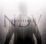 Rsk Invisible
