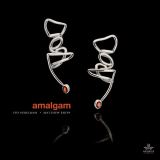 Perelman Ivo & Shipp Matthew Amalgam