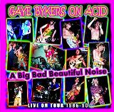 Rsk A Big Bad Beautiful Noise