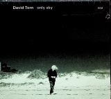 Torn David Only Sky