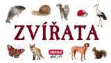 Infoa Skládanka - Zvířata
