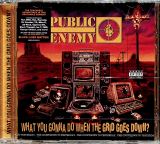 Public Enemy What You Gonna Do When The Grid Goes Down?