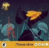 Pipasik Noční život