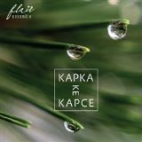 Indies Records Kapka ke kapce
