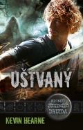 Laser Uštvaný