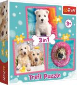 TREFL Puzzle: Štěňátka 3v1 (20,36,50 dílků)