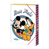 Argus Box na seity A4 Disney Mickey
