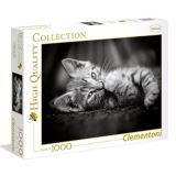 CLEMENTONI Clementoni Puzzle kotě / 1000 dílků