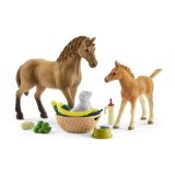 SCHLEICH Schleich Set hříbě a Quarter kůň se štěnětem a doplňky
