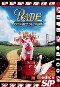 NORTH VIDEO Babe - prastko ve mst - DVD poeta