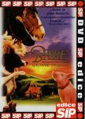 NORTH VIDEO Babe - galantní prasátko - DVD pošeta