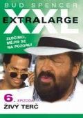 NORTH VIDEO Extralarge 6: iv ter - DVD poeta