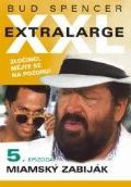 NORTH VIDEO Extralarge 5: Miamský zabiják - DVD pošeta