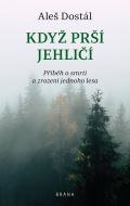 Brána Když prší jehličí
