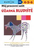 Svojtka & Co. Můj pracovní sešit Úžasná bludiště
