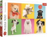 TREFL Puzzle: Šťastní psi 500 dílků