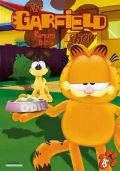 NORTH VIDEO Garfield 15 - DVD slim box