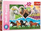 TREFL Puzzle: Krásní koně 200 dílků
