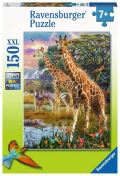 Ravensburger Ravensburger Puzzle - Džungle 150 dílků